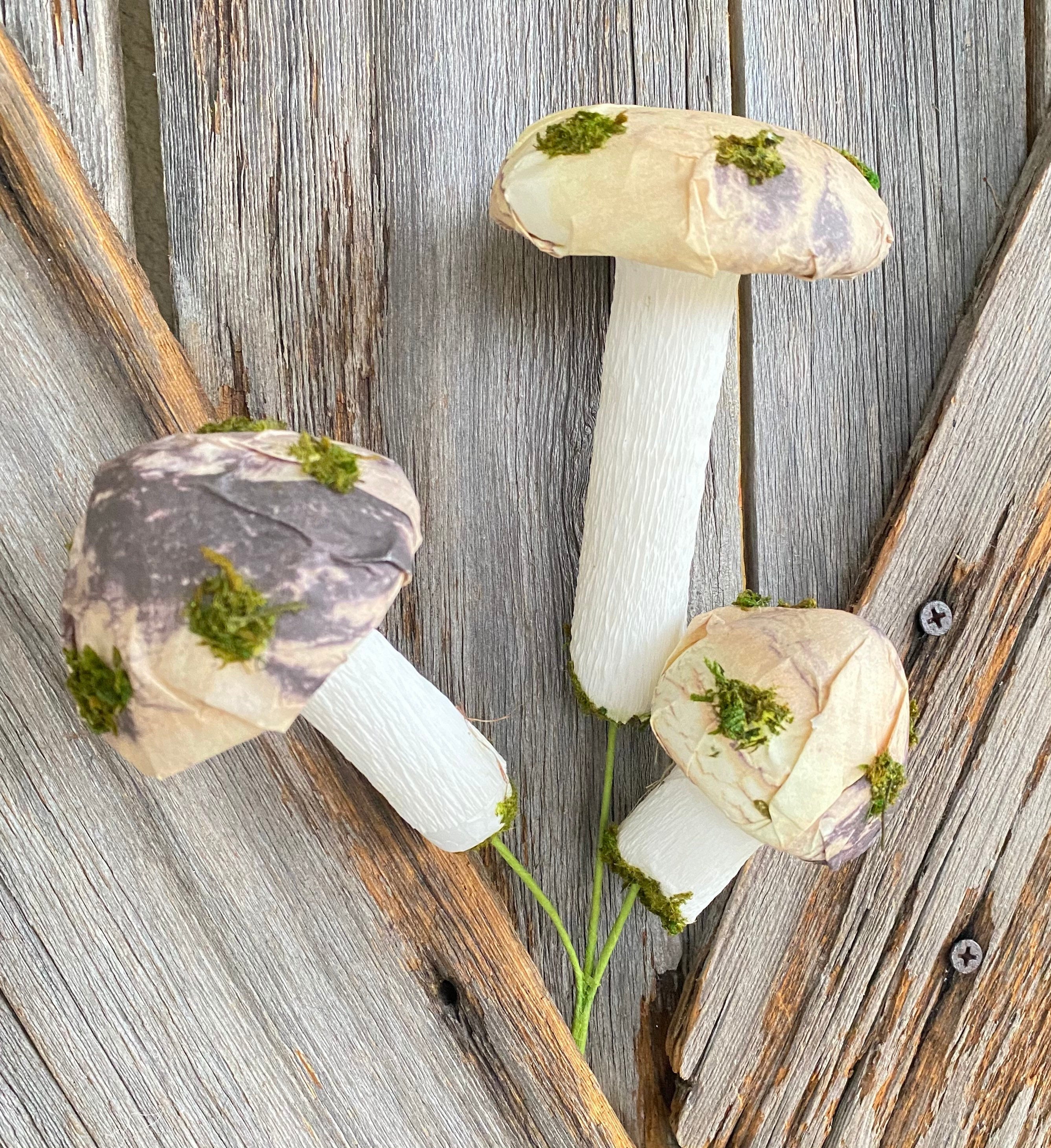 Trio Mushroom Pic, Wreath Supply, Floral