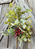 Holly Berry Bush