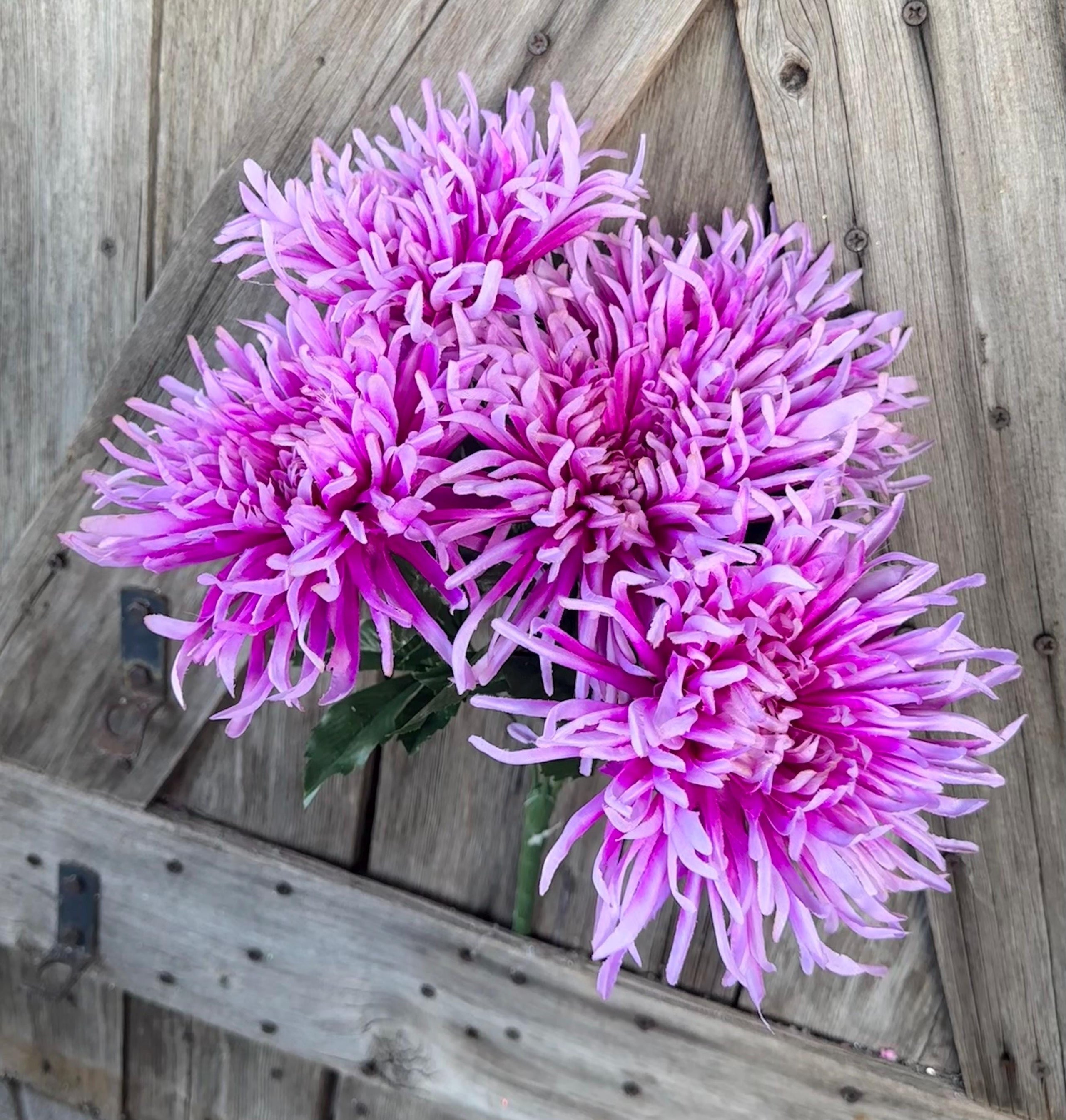 Purple Spider Mum Bush , Wreath Supply, Floral