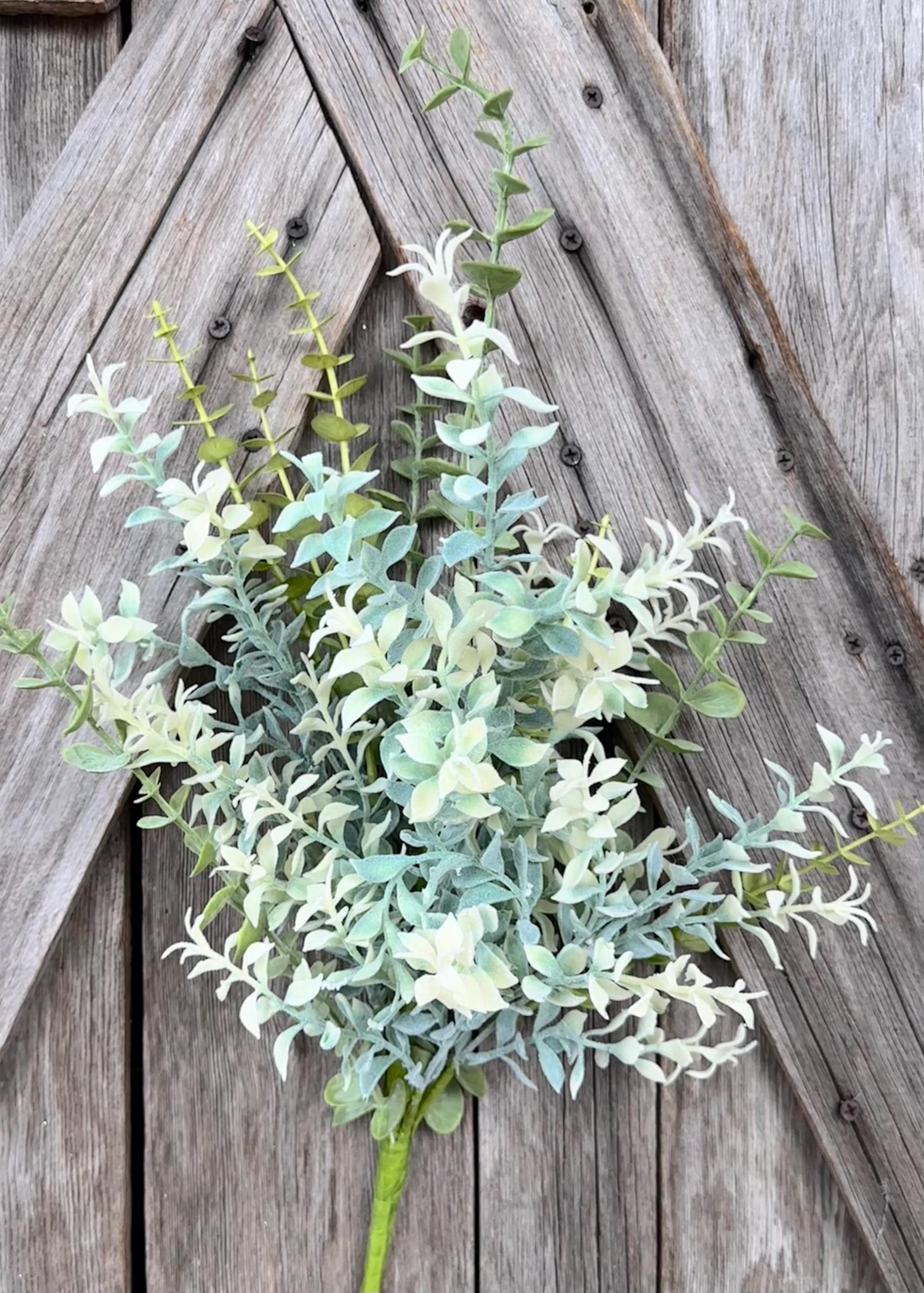 Eucalyptus Mixed Bush , Wreath Supply, Floral
