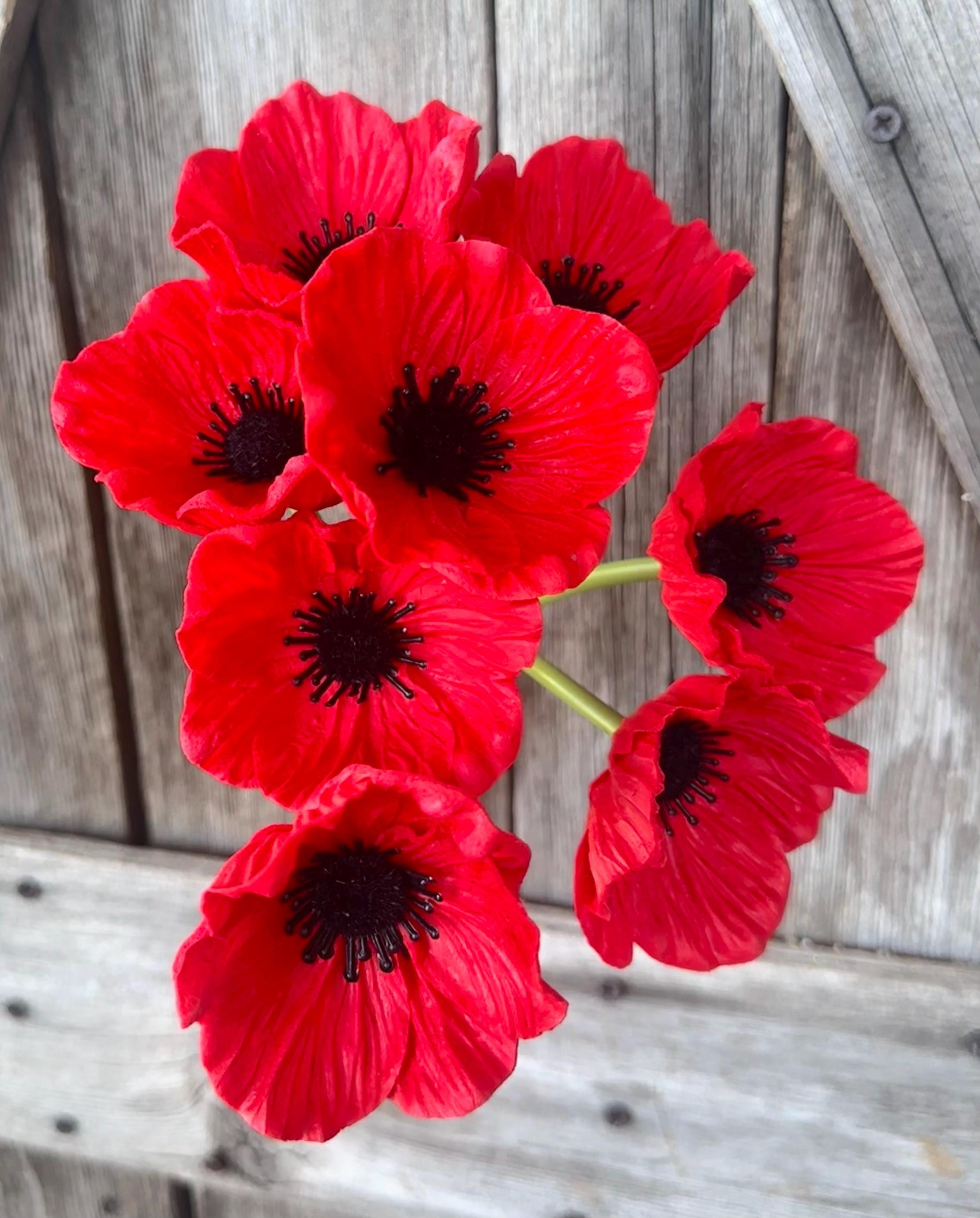 Poppie Bundle, Wreath Supply, Floral