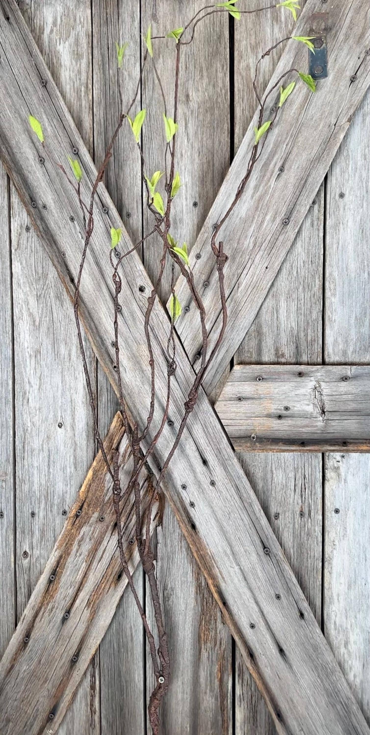 51 Inch Willow Branch Spray, Wreath Supply, Floral