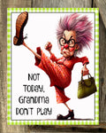 Not Today This Grandma Don't Play, Everyday Sign, Summer Sign, Sunflower Sign