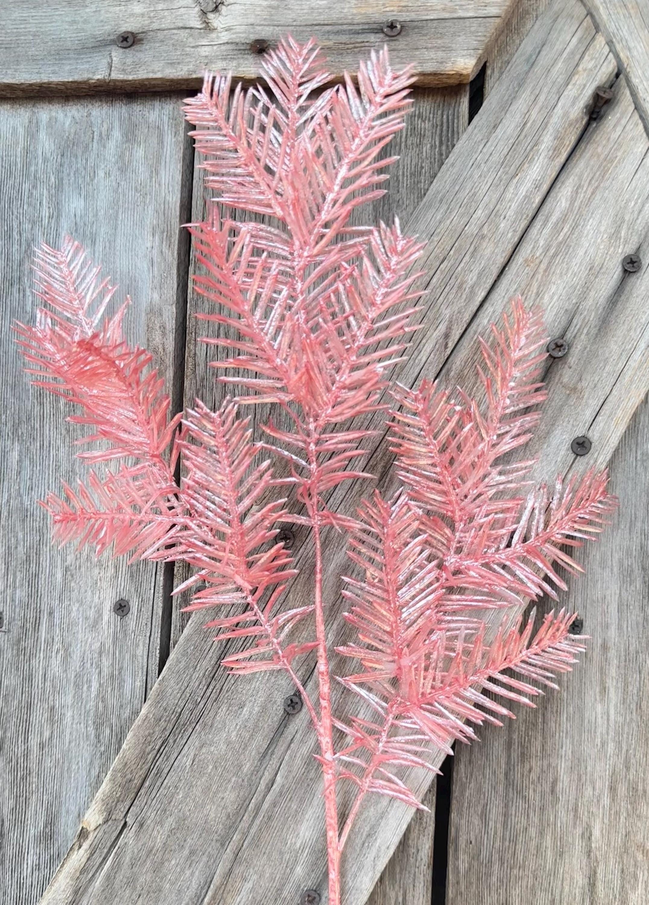 Pink Hemlock Spray