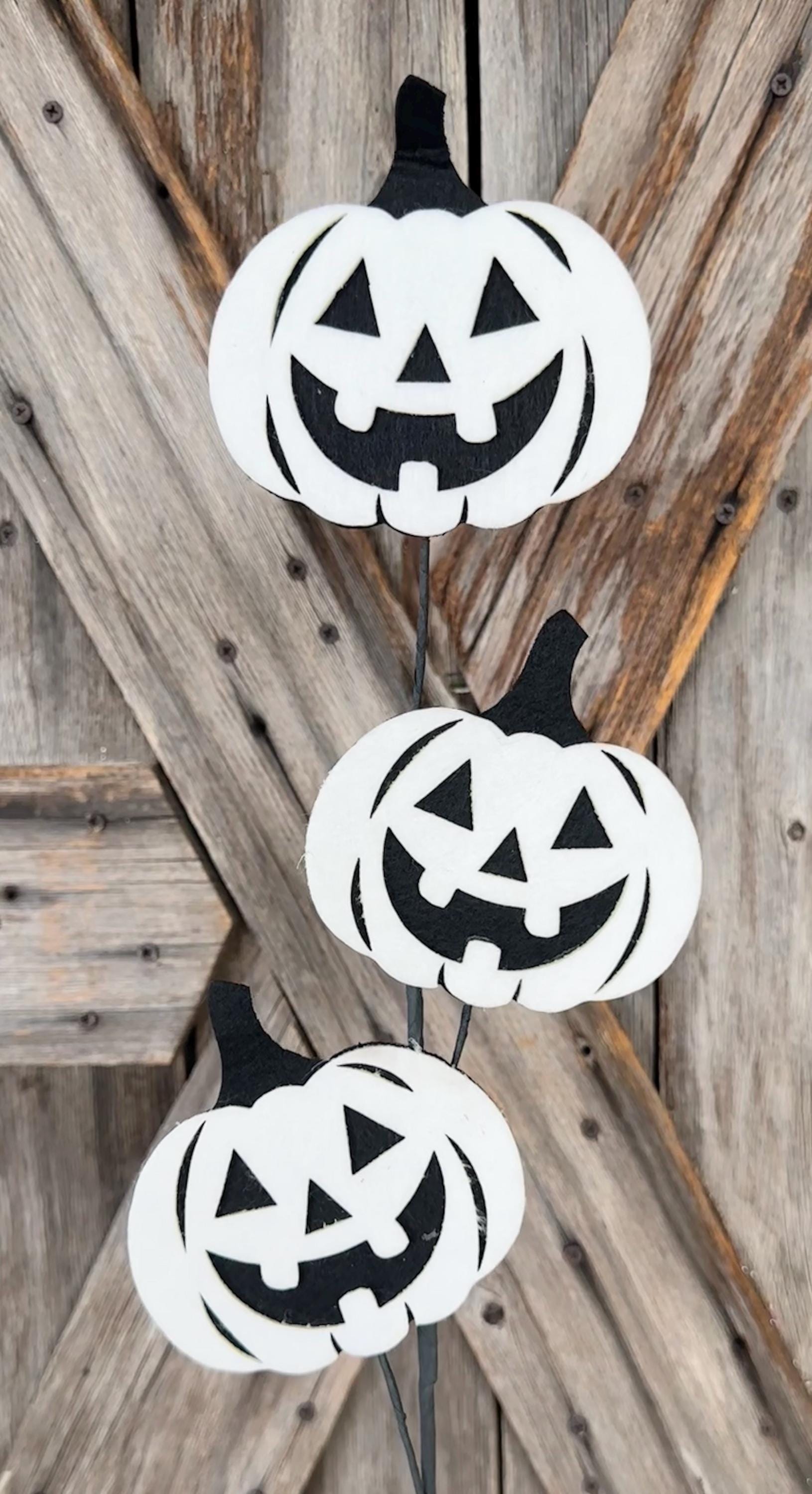 Big White Jack O Lantern Spray