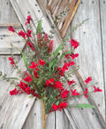 Red 60919 Spray