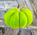 Green Flocked Pumpkin 7 Inches