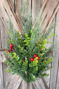 Lush Red Berry Pine Bush