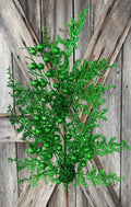 Green Cedar Berry Spray