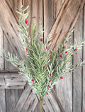 Eva Pine Berry Bush