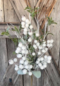 White Berry Twig Eucalyptus Bush