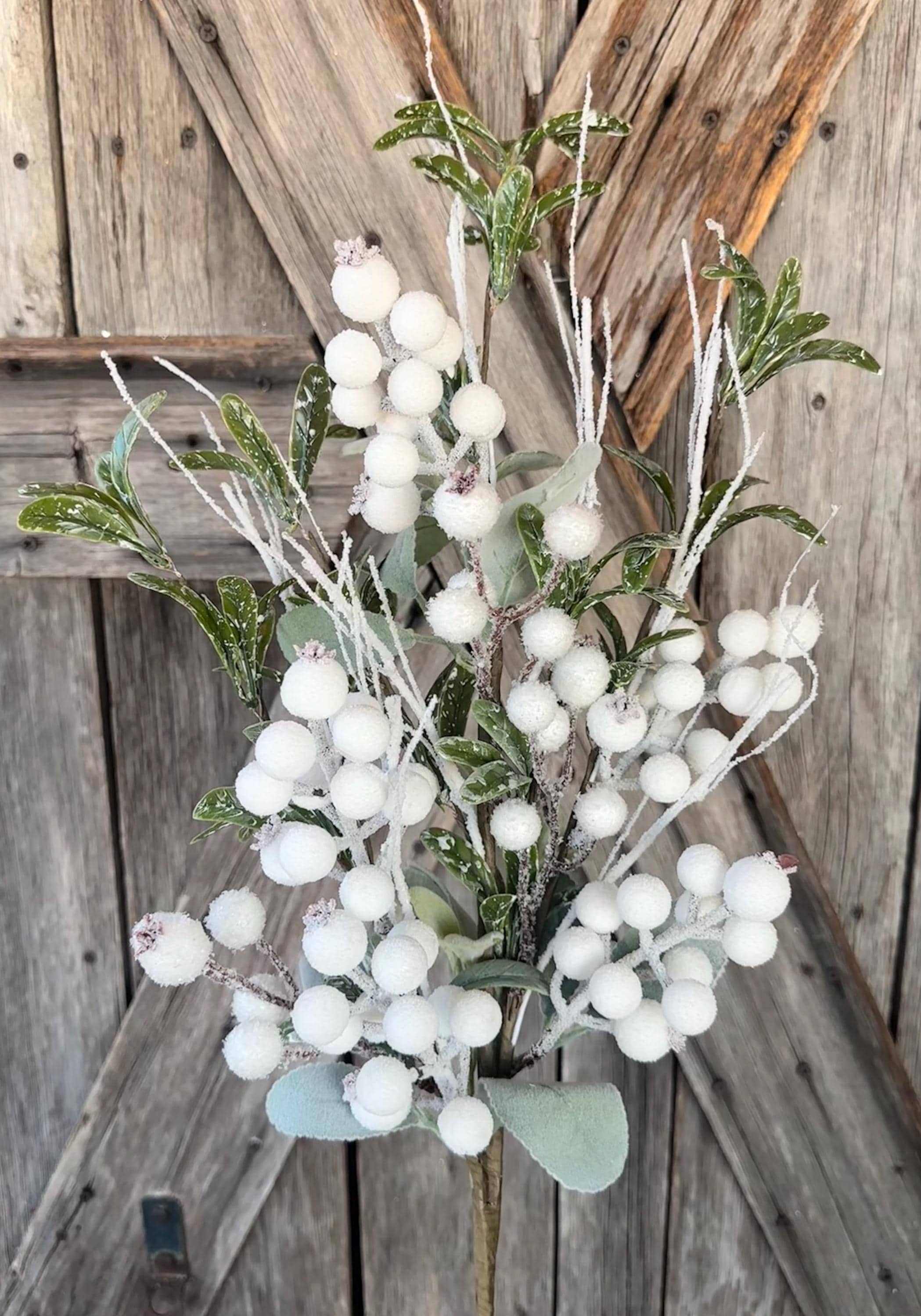 White Berry Twig Eucalyptus Bush