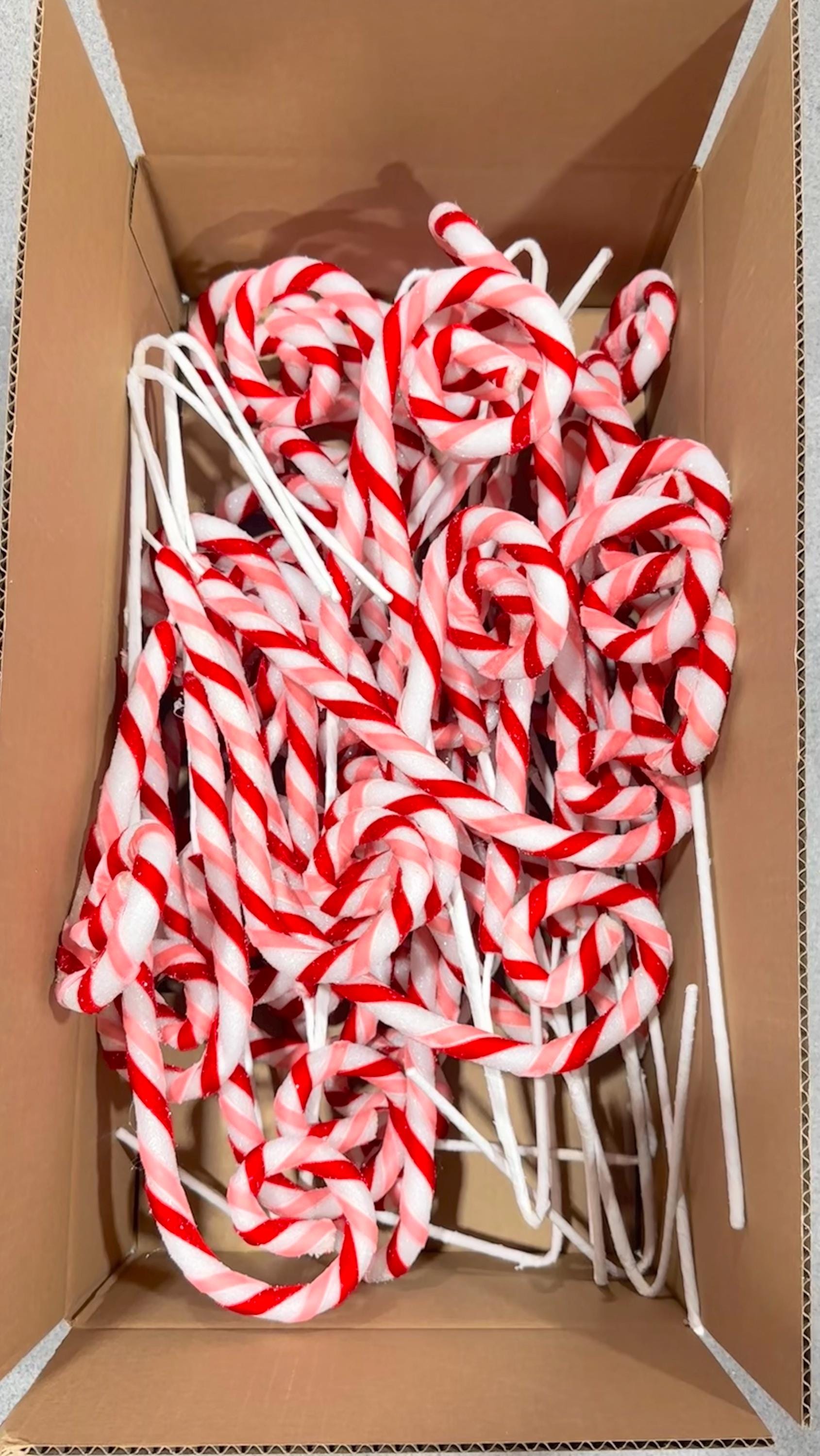 Box of Pink Red Candy Cane Curls~ 16~ Used, Warehouse Sale