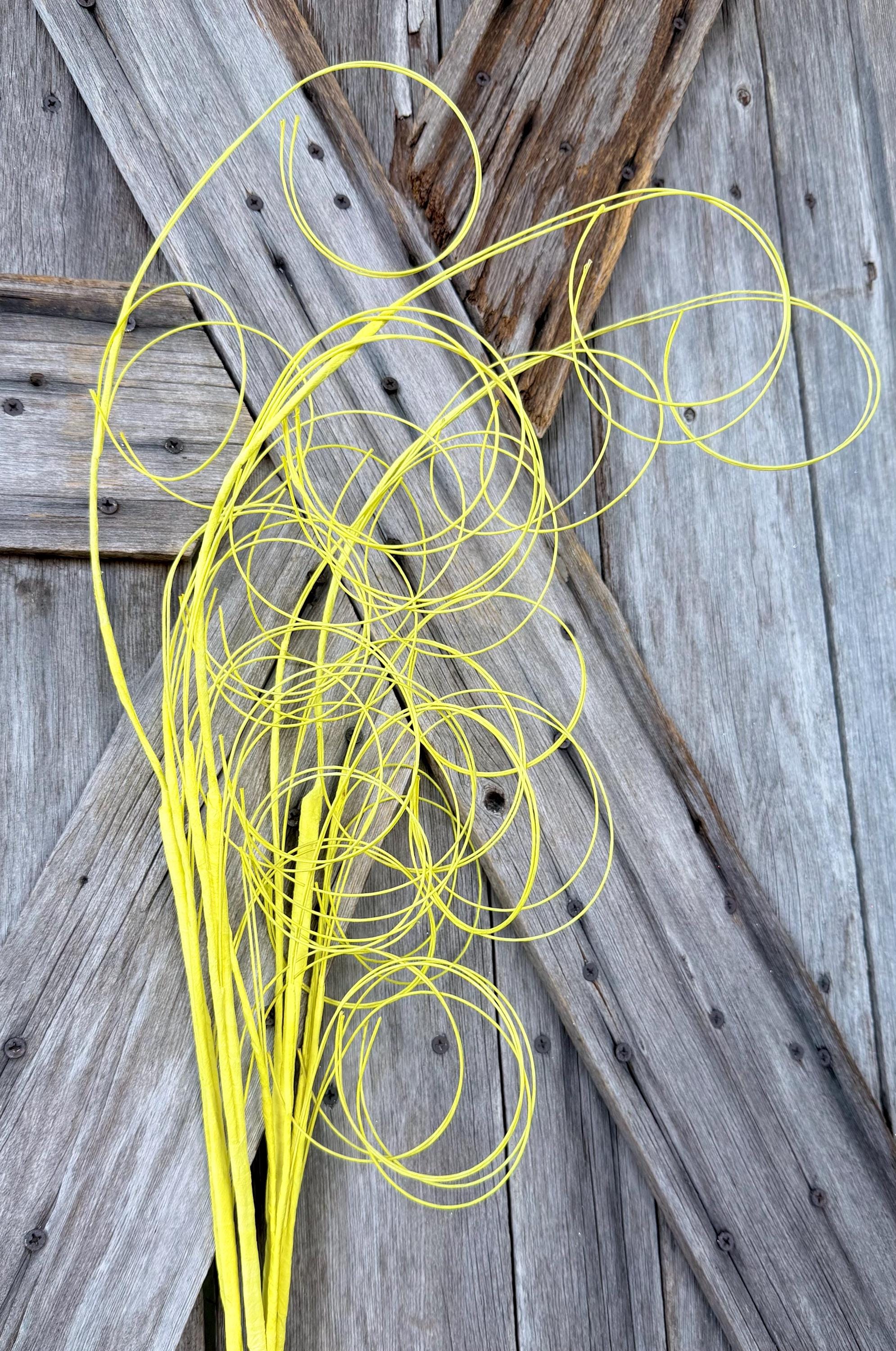 Yellow Twig Branch Spray