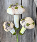 Natural Mushroom Pick
