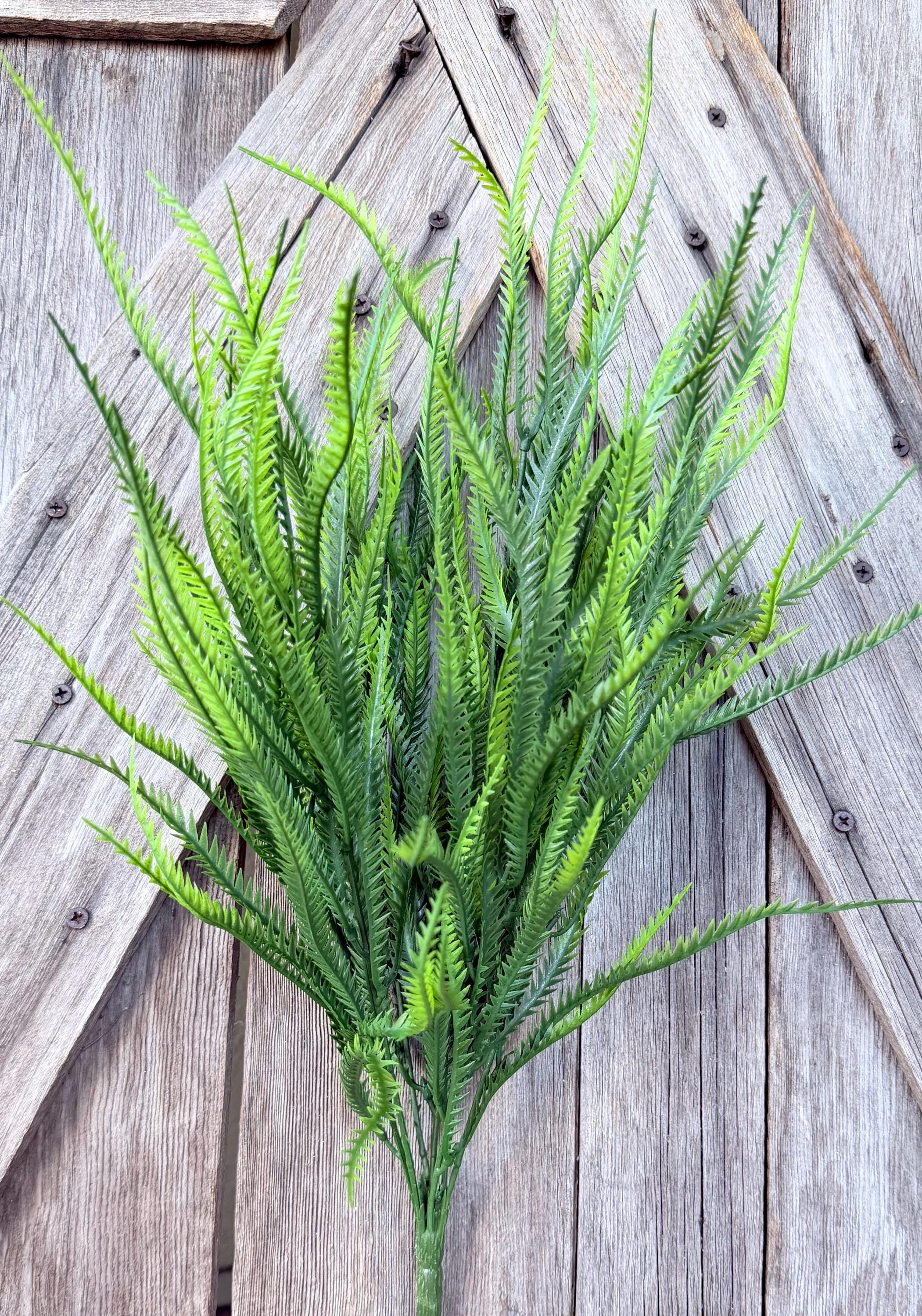 Fern Bush, Wreath Supply, Floral