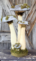 Mushroom Trio, 12 Inches, Natural