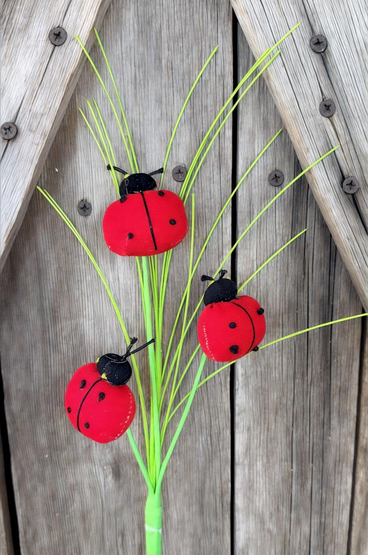 Ladybug Pick