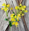 Yellow Daphne Spray, Wreath Supply, Floral