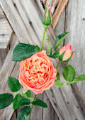 Coral Soft Touch Rose Spray, Wreath Supply, Floral