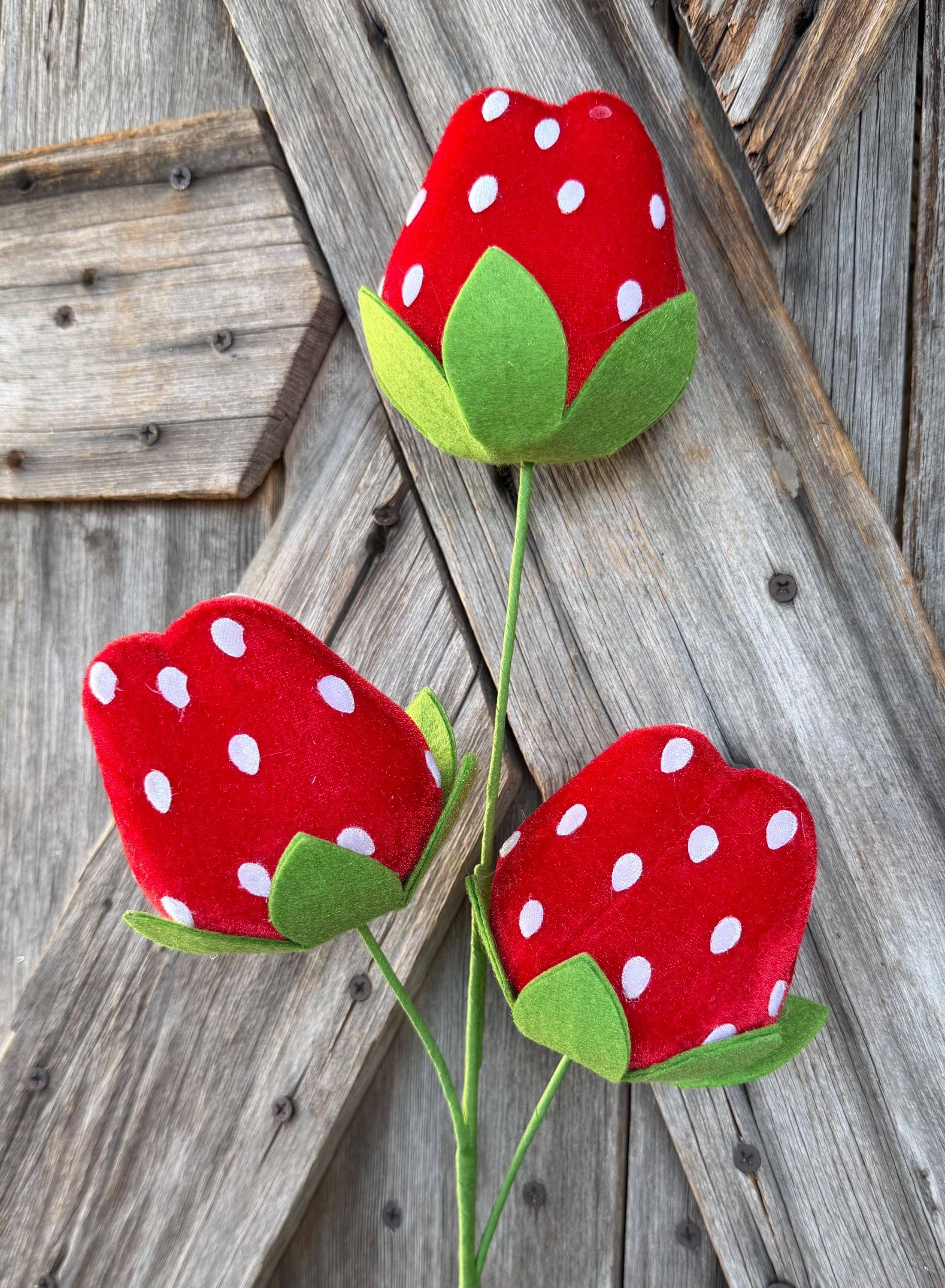 Red Strawberry Spray