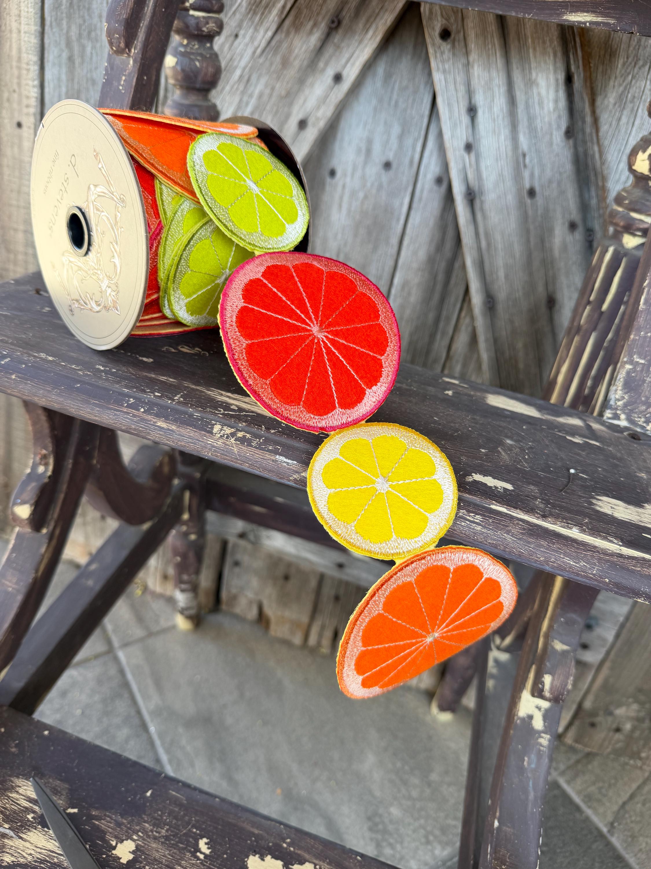 Embroidered Citrus Fruit Ribbon 3.5 Inch