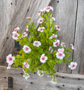 White Pink Mini Flower Filler Bush, Wreath Supply, Floral