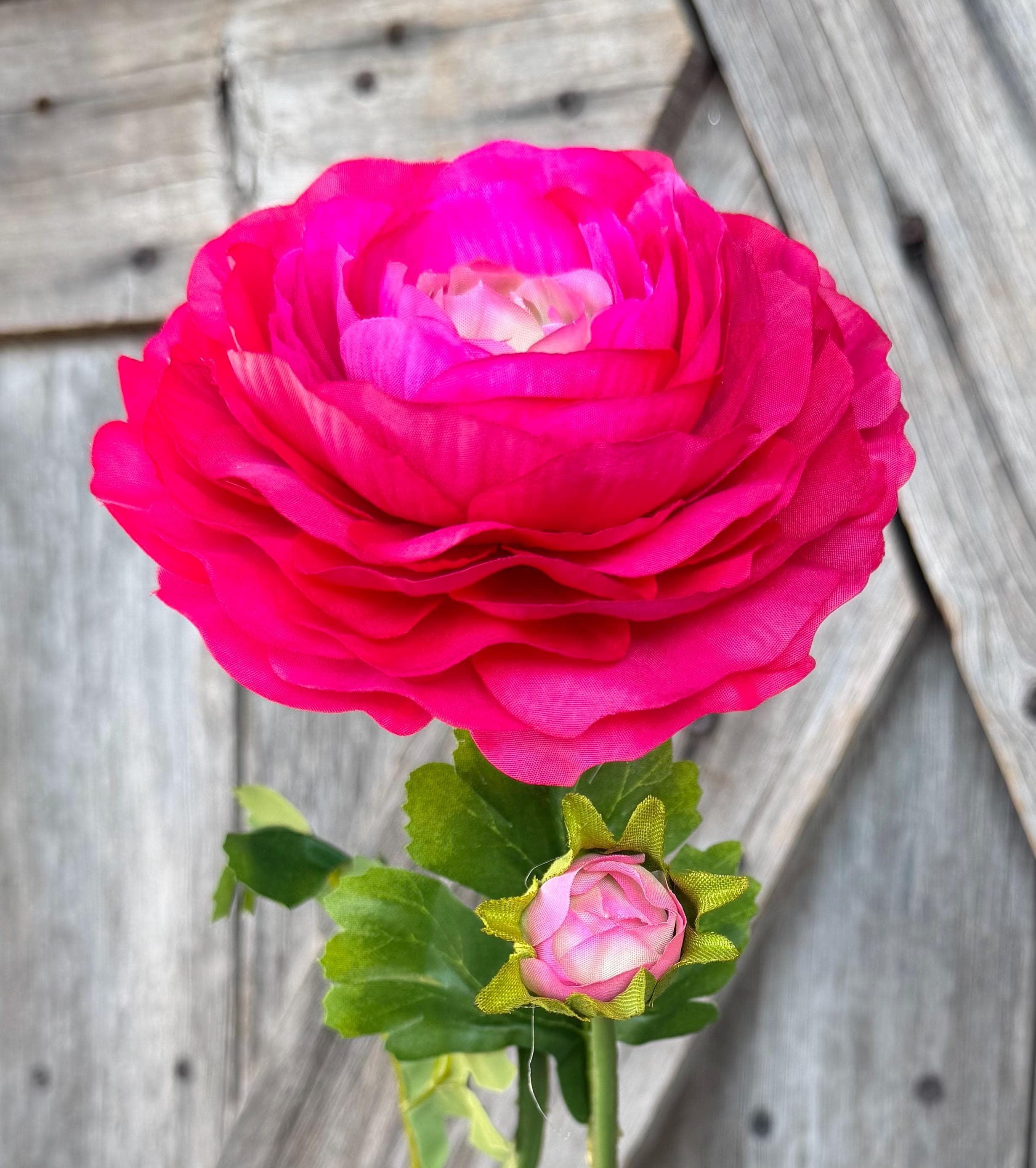 Hot Pink Ranunculus Spray, Wreath Supply, Floral