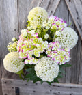 Wishing Ball Hydrangea Bush, Wreath Supply, Floral