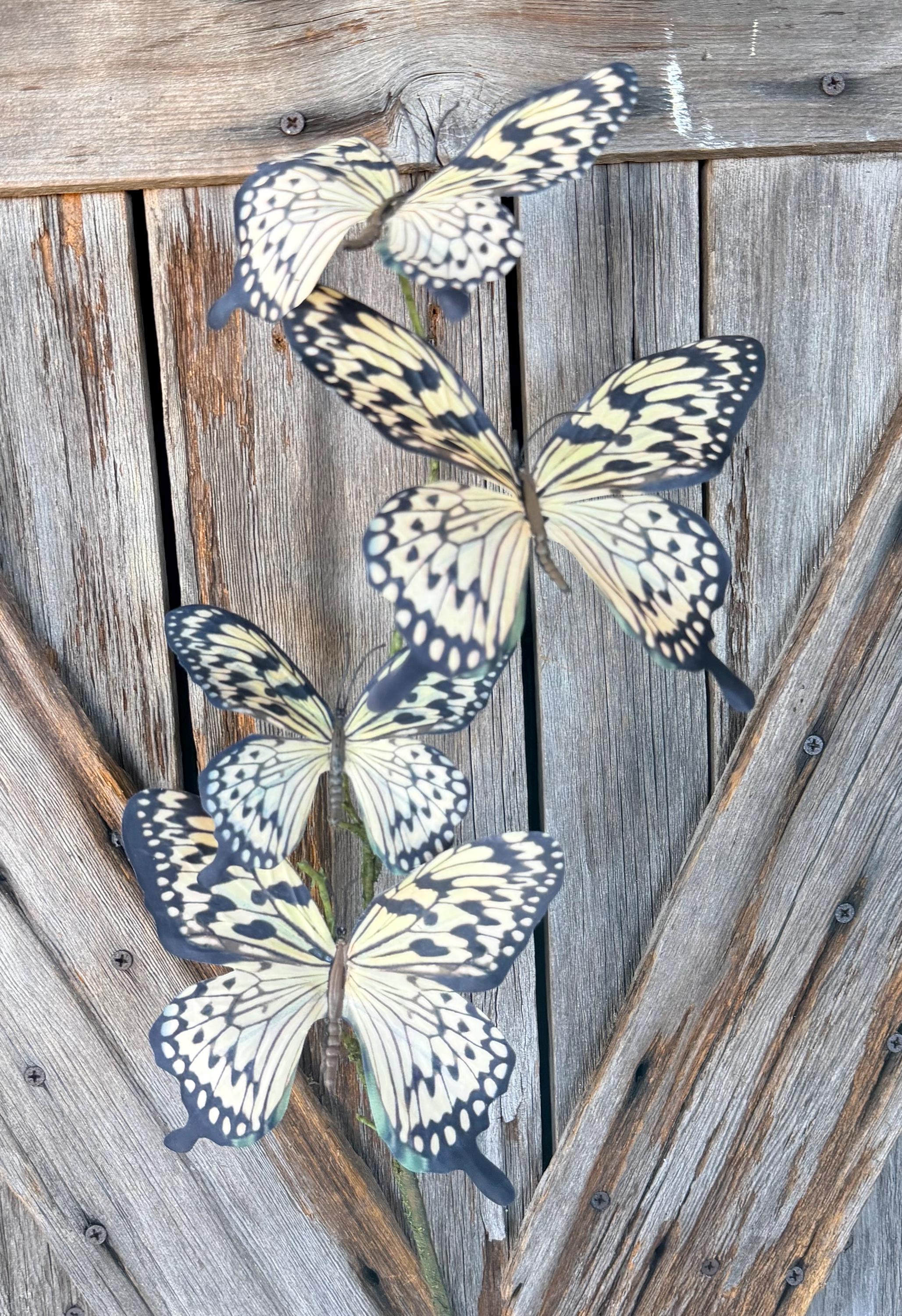 Light Yellow Butterfly Spray