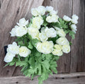 Large Cream Ranunculus Bush, Wreath Supply, Floral