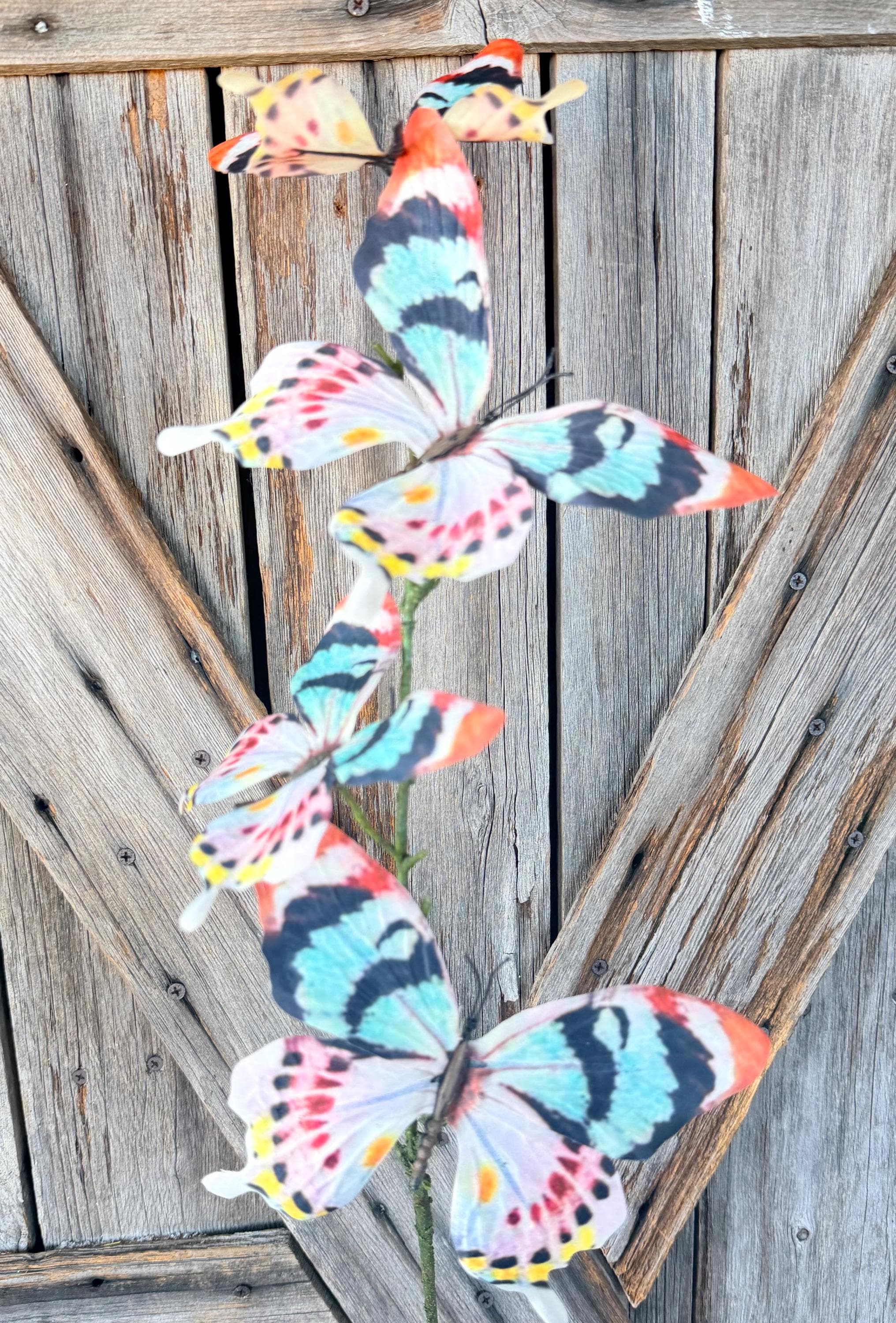 Multi Color Butterfly Spray