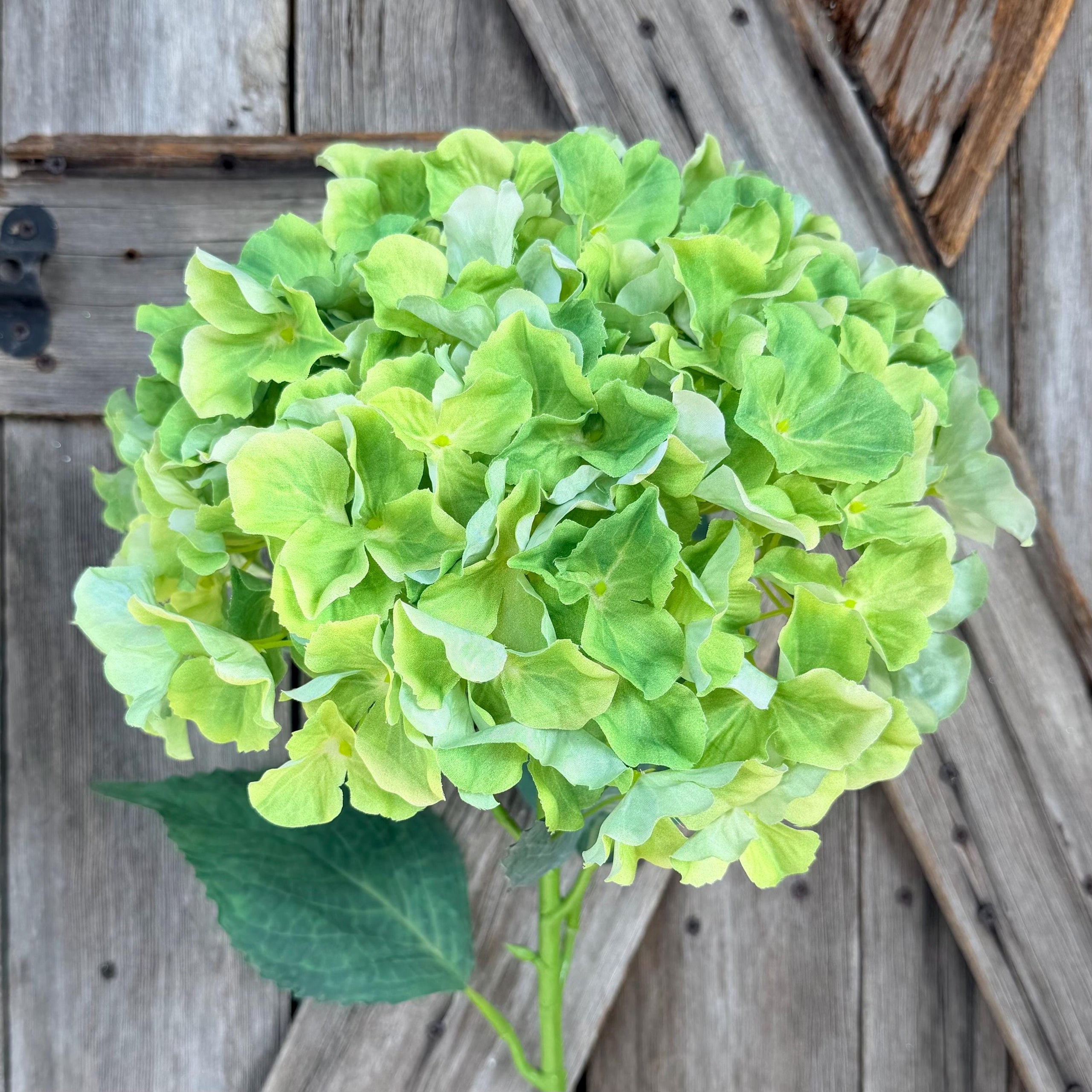 Jumbo Green Hydrangea Stem, 12 Inch Flower Head, Wreath Supply, Floral