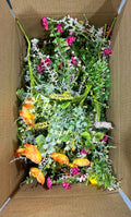 Box of 20 Summer Bushes ~ Used~ Destash