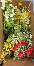 Big Box of 16 Summer Floral Bushes~ Destash #11