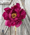 Large Plum Peonie Stem