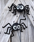 Black Spider Spray