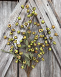 Green Berry Bush , Wreath Supply, Floral